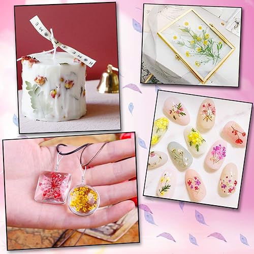 Vista 20 de Augshy 141 flores secas prensadas para resina, flores secas naturales reales prensadas para manualidades, moldes de resina, álbumes de recortes, 5