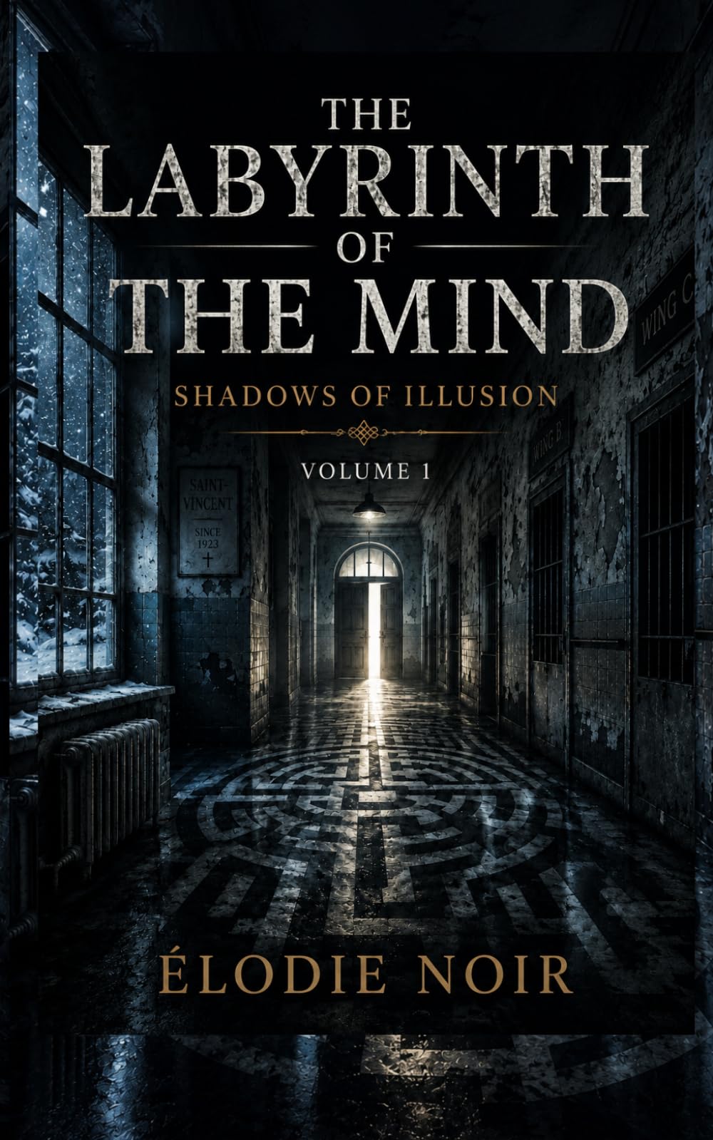 LABYRINTH OF THE MIND: Shadows of Illusion: Volume 1