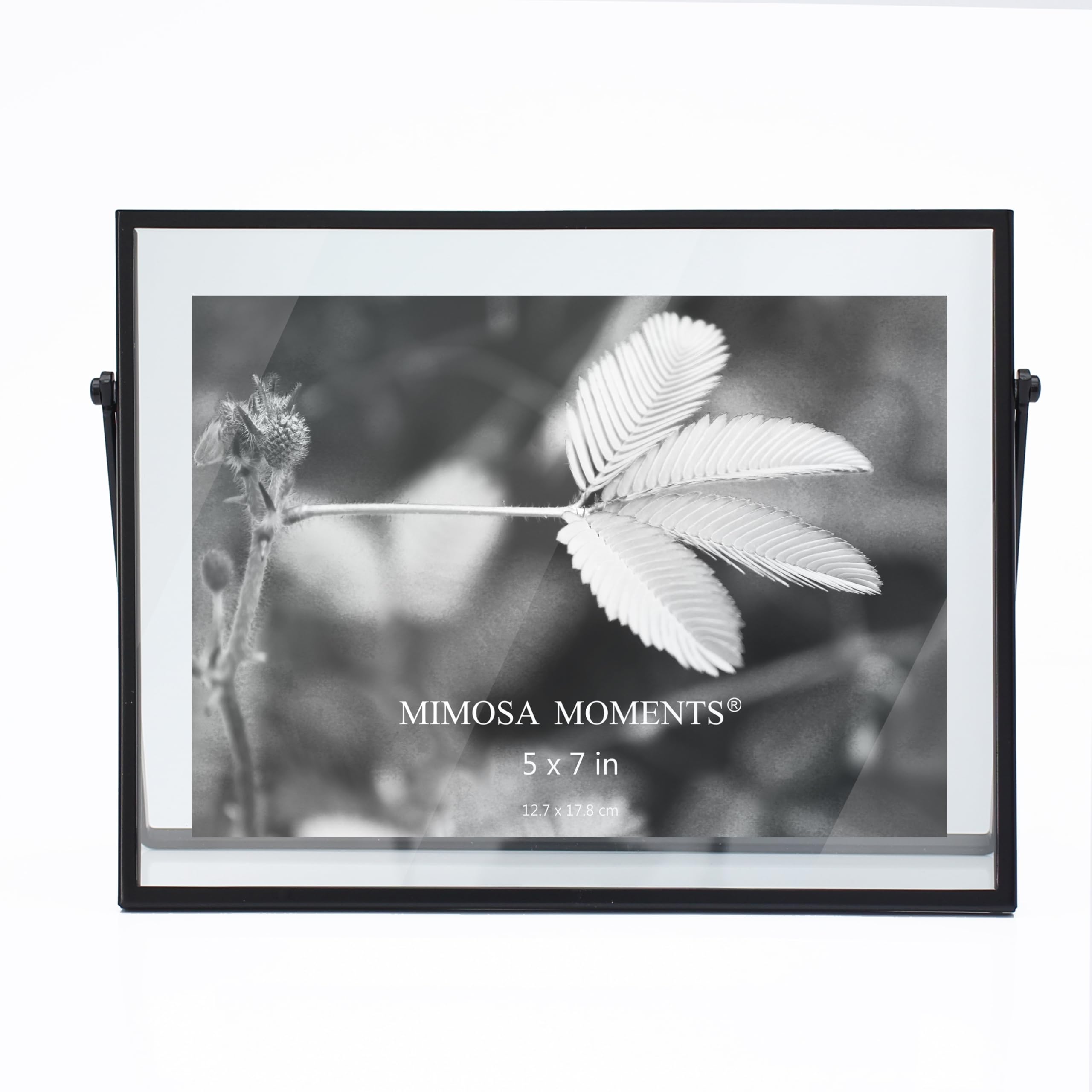 MIMOSA MOMENTS Metal Floating Picture Frame (Black, 5x7 horizontal)