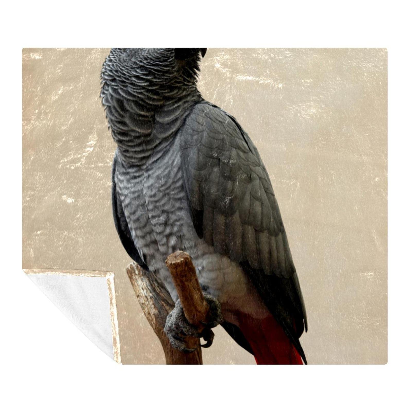 Couverture en peluche microfibre douce gris motif oiseau perroquet pour lit et sofa