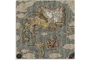 XWRTUGOT Map of Elden Ring Canvas Poster Bedroom Decor Landscape Office Room Decor Gift 20x20inch(50x50cm)