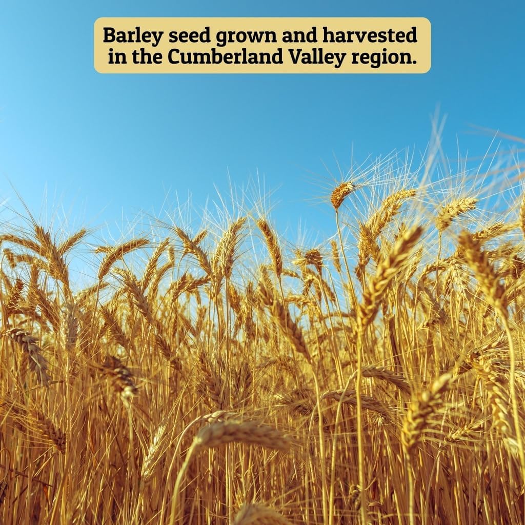 Ernst Grain & Livestock Non‑GMO Whole Barley Seeds & Feeds – Premium Feed‑Grade Grain for Livestock, Poultry & Small Animals – 10 lb (160 oz) Portable Bag – Pure, Unprocessed, Nutrient‑Rich