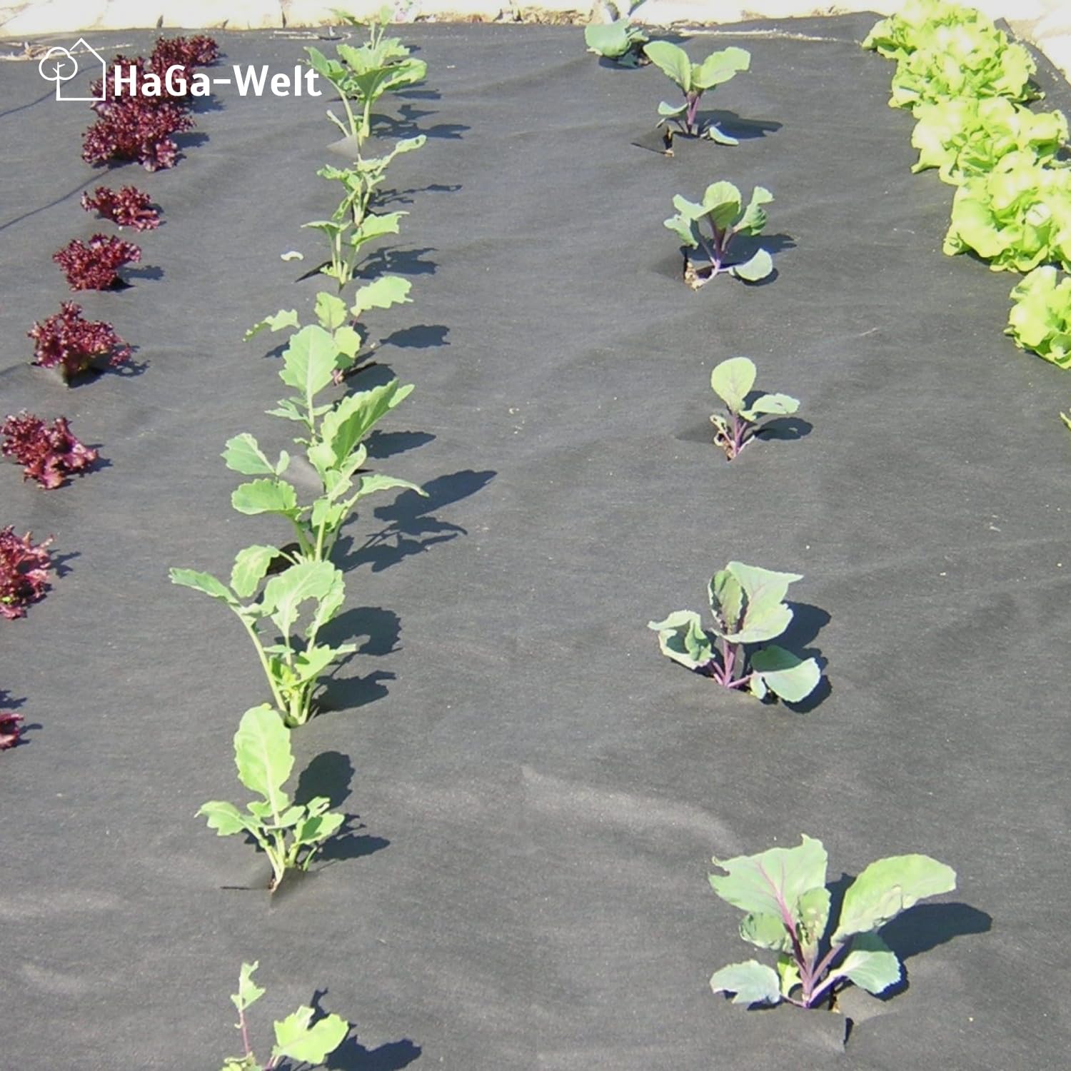 HaGa Unkrautvlies 100g/m² in 1,2m x 50m - Atmungsaktives Gartenvlies für effektiven Unkrautschutz im Garten mit hoher Reißfestigkeit