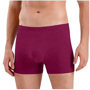 Mens Casual Underpants Trendy Elastic Mid Rise Support Pouch Underwear Boxer Briefs Soft Comfy Breathable Trunks
