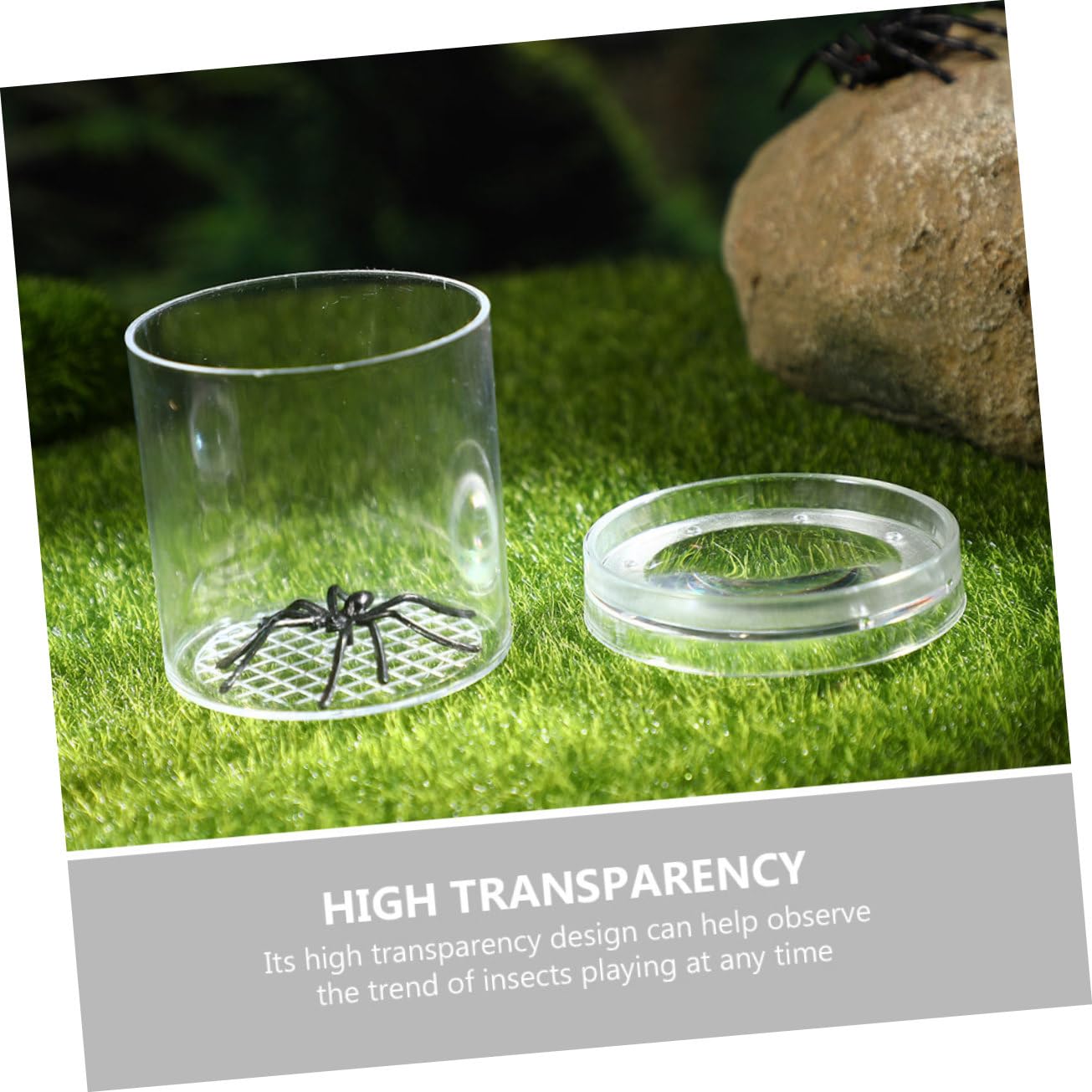 Lot de 8 Boîtes Loupe pour Insectes Garçon et Filles Petit Format Observation Précise Extérieur Apprentissage Scientifique Exploration Naturelle