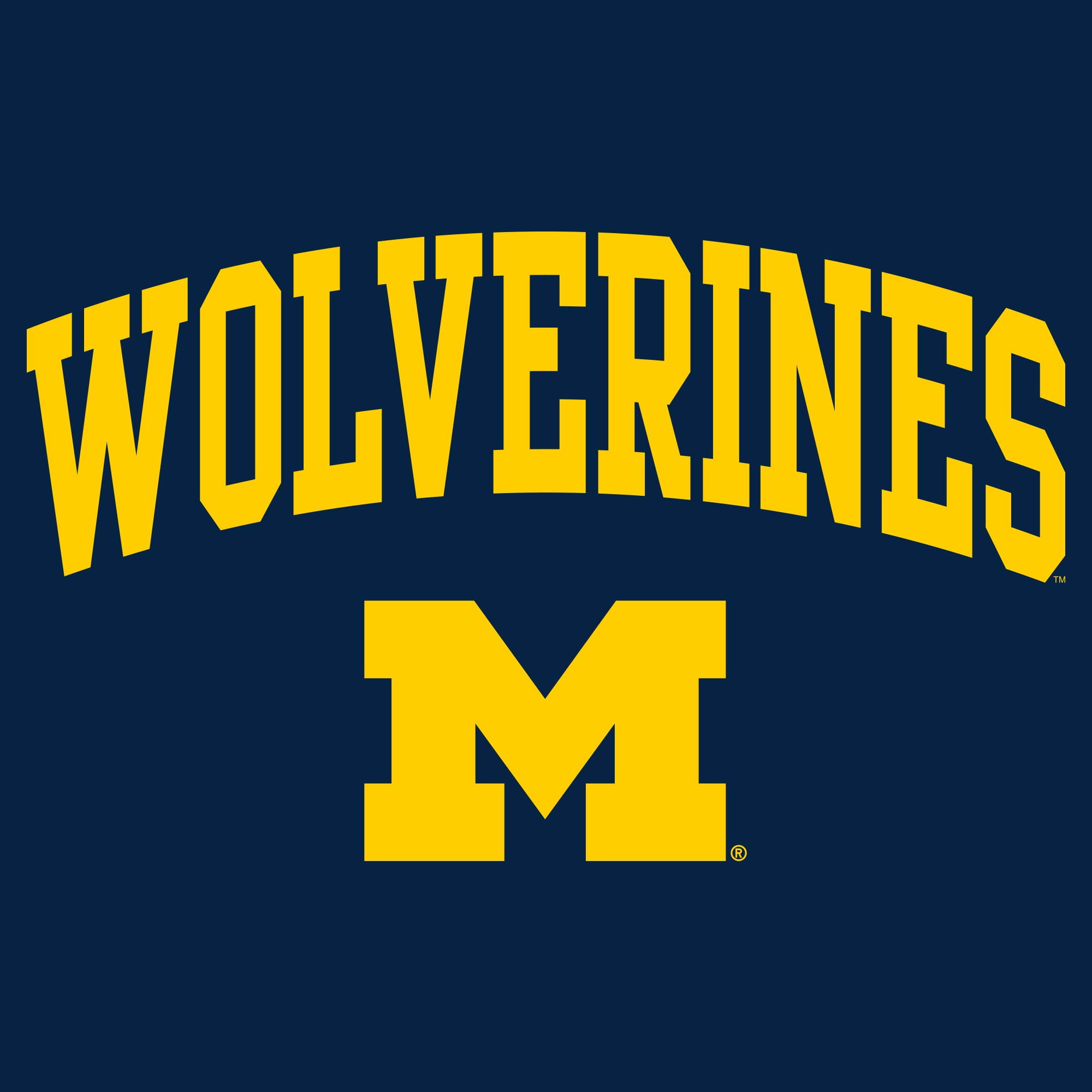 UGP Campus Apparel AS1208 - Michigan Wolverines Mascot Arch T-Shirt - X-Large - Navy