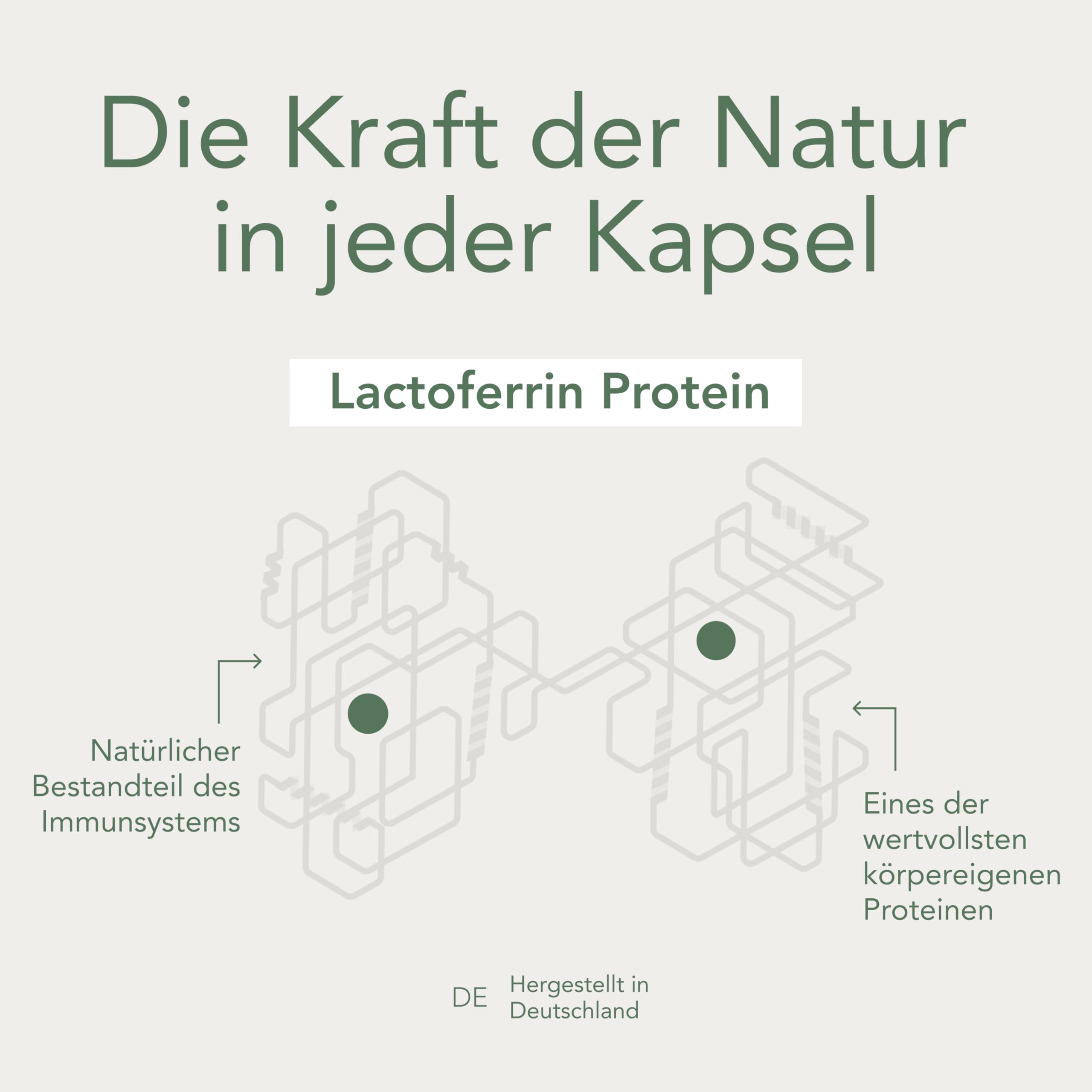 Lactoferrin 250 mg – Hochwertiges eisenbindendes Protein aus Milch | hochdosiert 60 Kapseln | Bekannt aus Kolostrum | Made in Germany, ohne Zusatzstoffe