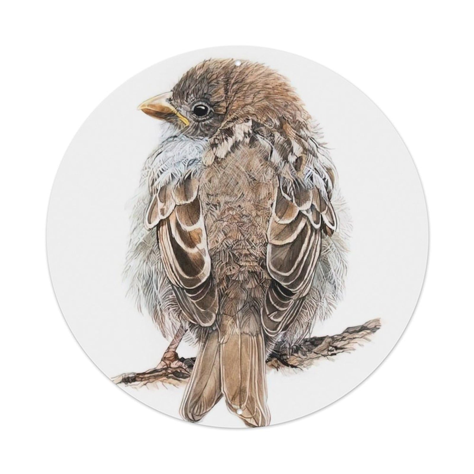 Animal Birds Little Sparrow's Back Vintage Metal Tin Sign Plaque Wall Decor for Cafe, Club Bar, Office, Garden Metal Poster 8x8Inch