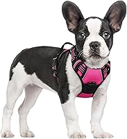 Vista 143 de rabbitgoo Arnés para perro, arnés sin tirones para mascotas con 2 clips para correa, chaleco acolchado suave ajustable para perro, chaleco Oxford