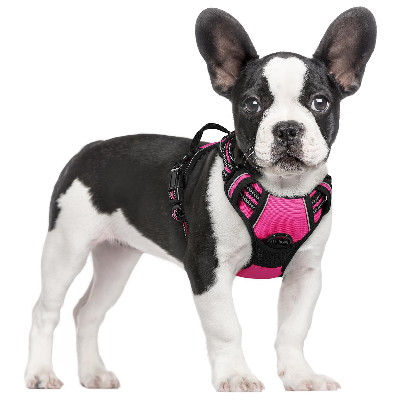 rabbitgoo Dog Harness No Pull with 2 Leash Clips, Adjustable Soft Padded, Reflective Oxford No Choke Pet Vest with Easy Control Handle for Large Dogs, Hot Pink, S