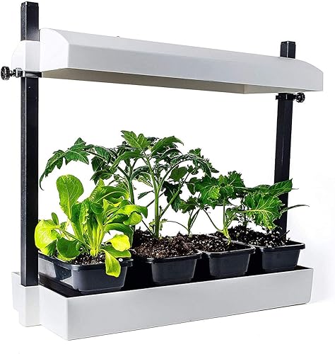 Miniatura 4 de SunBlaster T5HO - Micro Growlight Garden para interiores, kit de cultivo en casa, negro, pequeño