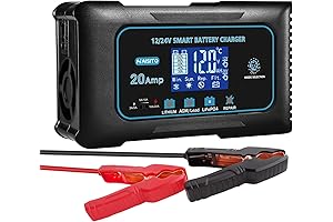 20 Amp Lithium Battery Charger, 12V and 24V 24v battery charger Portable Charger