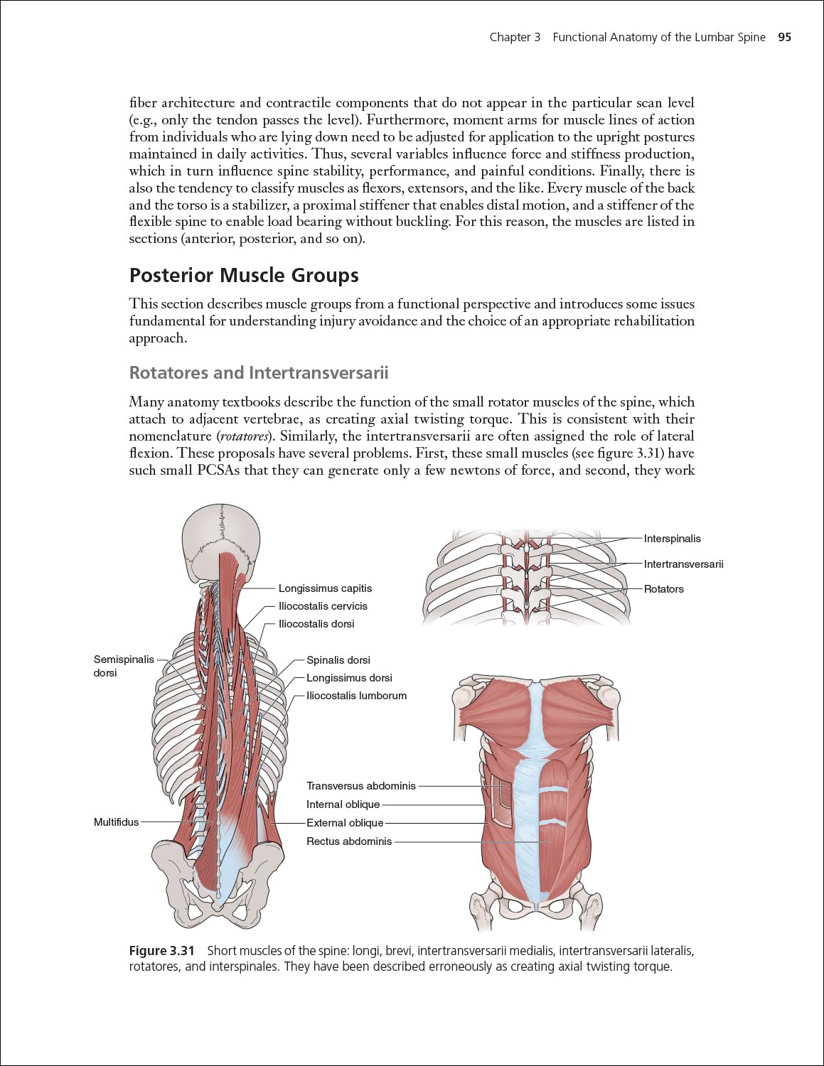 Low Back Disorders: Evidence-Based Prevention and Rehabilitation
