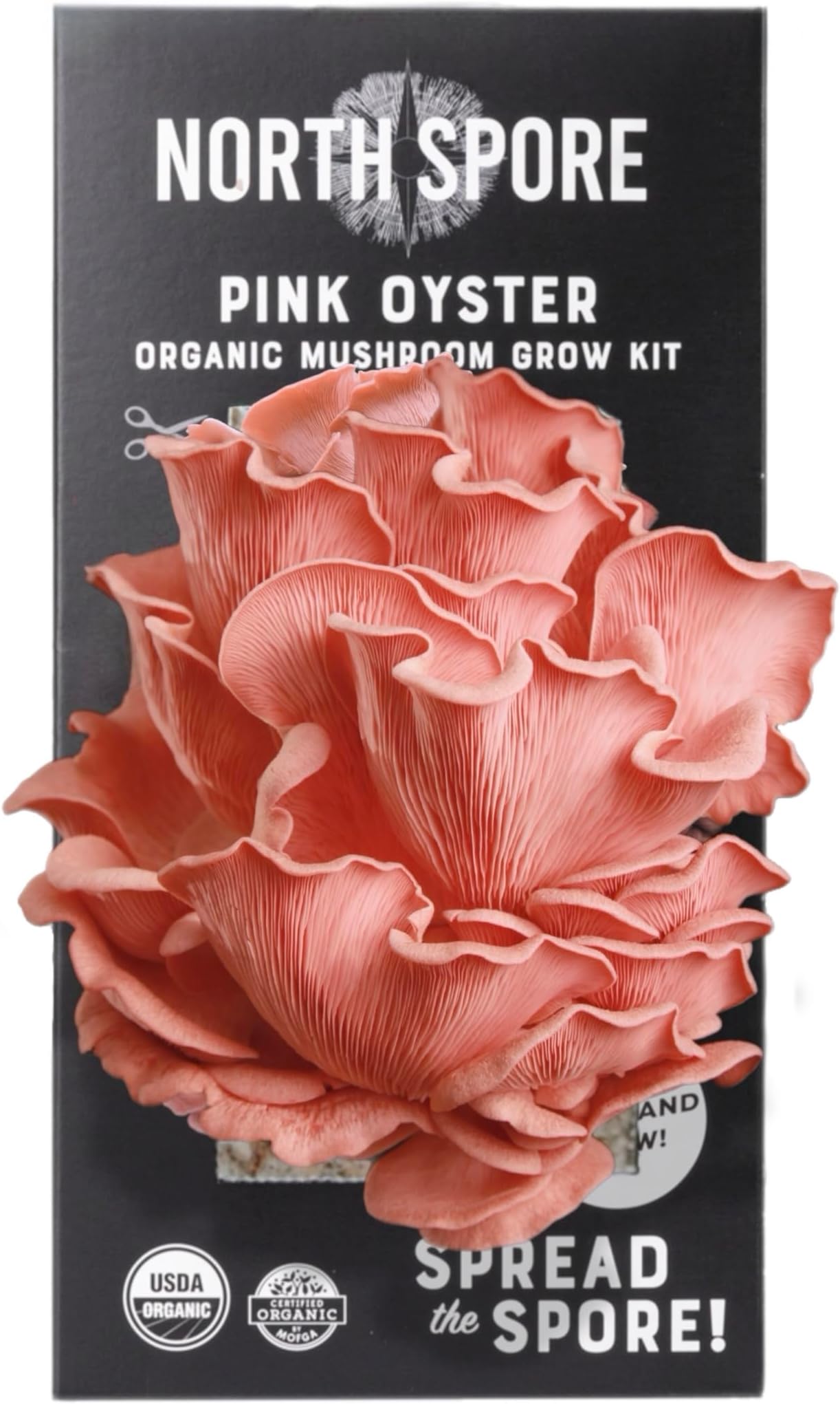 North Spore Organic Pink Oyster Mushroom Spray & Grow Kit (4 lbs) | USDA-Certified Organic, Non-GMO, Beginner-Friendly & Easy to Use | Handmade in Maine, USA