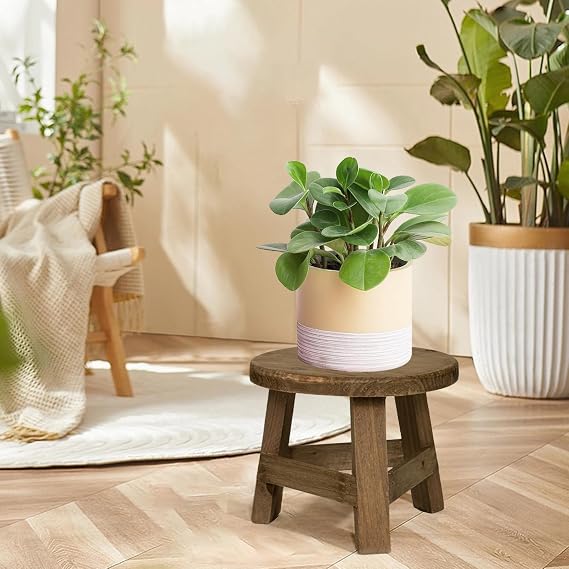 Small Round Wooden Stool, Wooden Plant Pot Stand, Plants Pot Riser Display Stand, Potted Plant Display Holder, Table Plants Support For Indoor Outdoor Garden Patio Balcony Bedroom Living Room, 7x5.9in