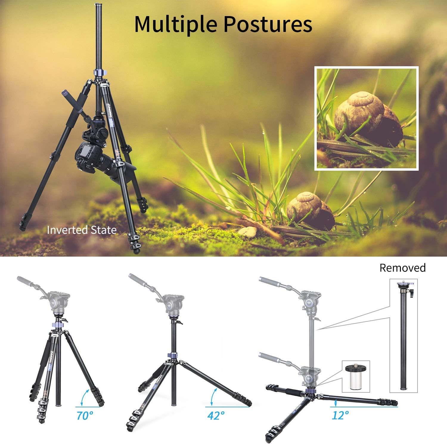 Image demonstrating multiple tripod postures, including standard angles (70°, 42°) and an inverted state for low-angle or macro photography, with an example macro shot of snails.