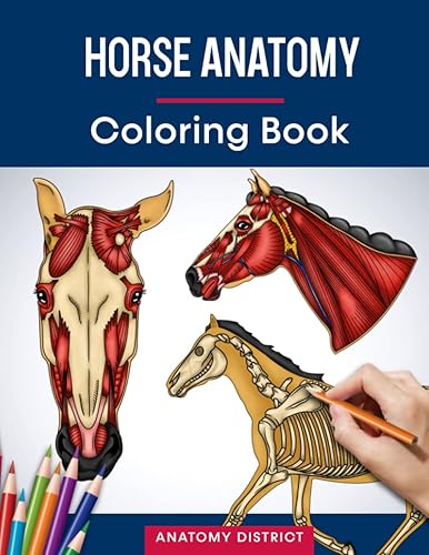 Horse Anatomy Coloring Book: Incredibly Detailed Self-Test Horse Anatomy Workbook | Perfect Gift for Veterinary Students, Equestrians, Animal Lovers, Kids &amp; Adults