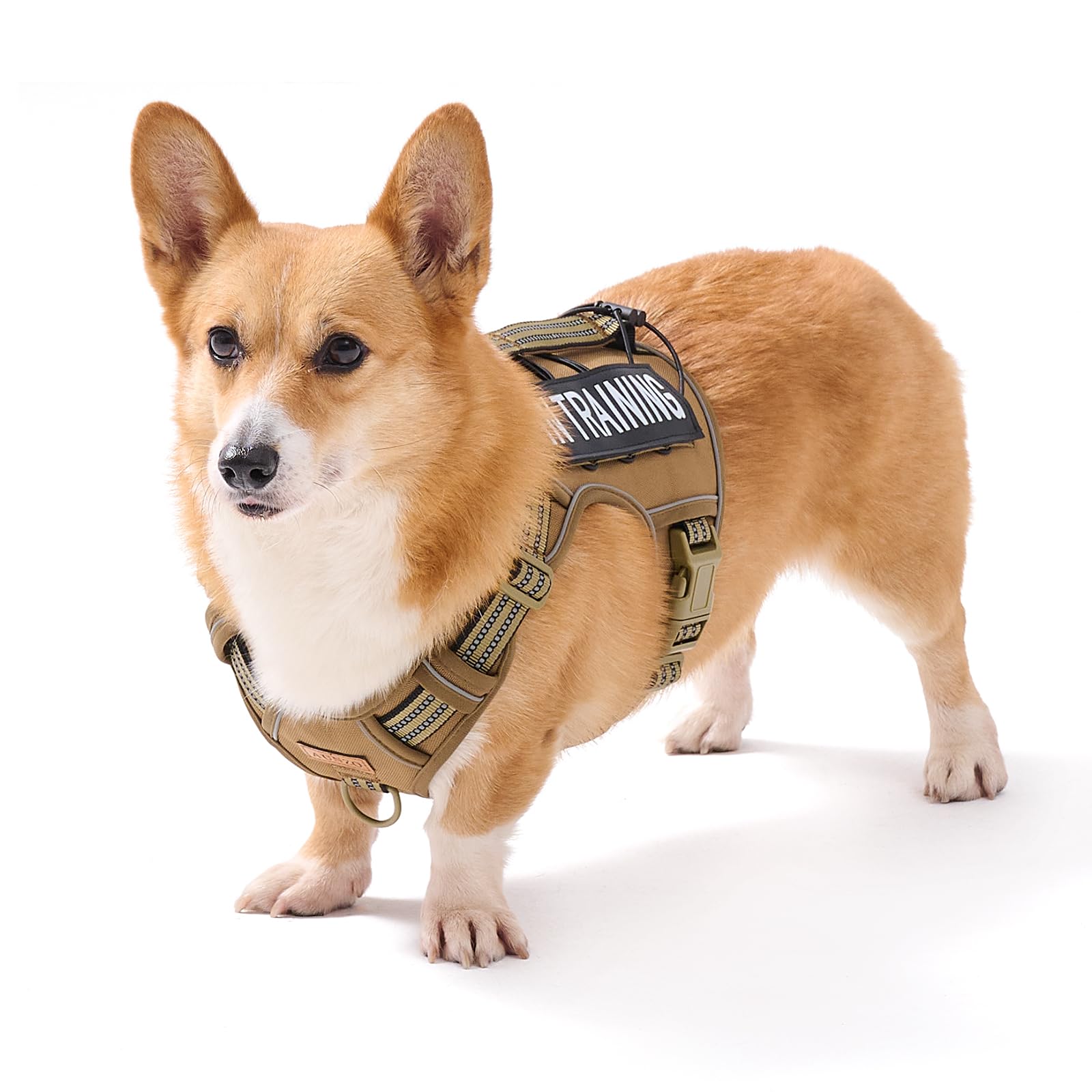 AUNZO No-Pull Adjustable Dog Harness for Small Dogs,Easy Control with Handle, for Havanese Chihuahua Puggle etc, Inescapable, Ez Walking, Safe