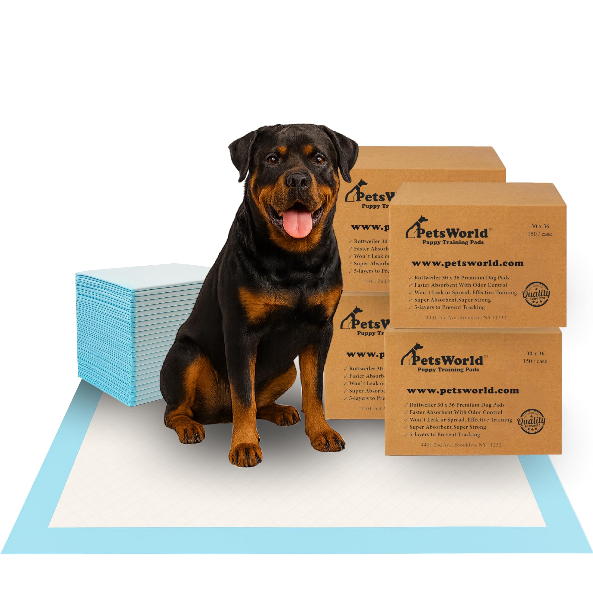 PetsWorld XL Dog Pee Pads 30"x36", 600-Count – Heavy Duty, Leak-Proof Potty Training Pads for Puppies & Large Dogs, Super Absorbent, Quick-Dry