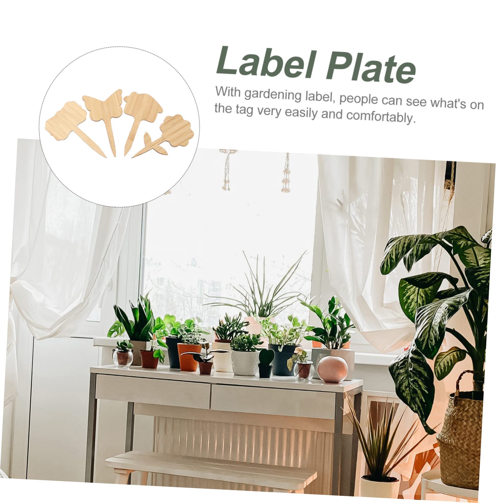 Kisangel 4 Ensembles Marqueurs De Plantes En Bambou Étiquettes De Fleurs De Jardin Étiquettes De Plantes Succulentes Étiquettes De Pots Étiquettes De es es 40 pièces * 4