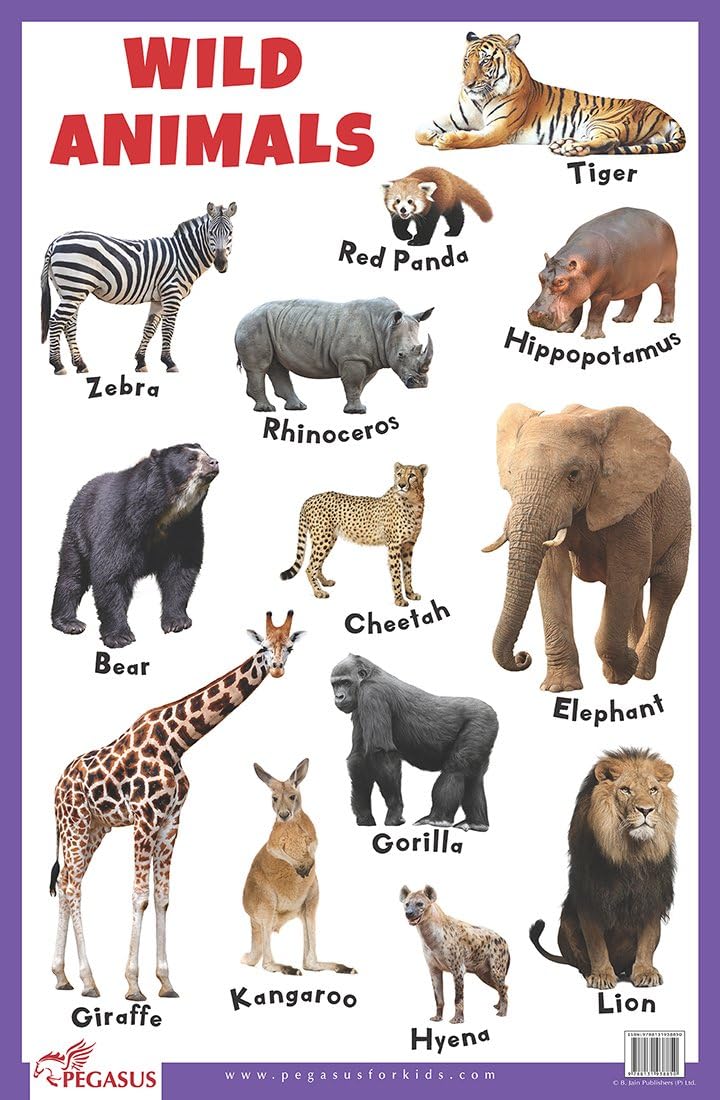 Wild Animals - Thick Laminated Primary Chart Poster – 1 January 2018