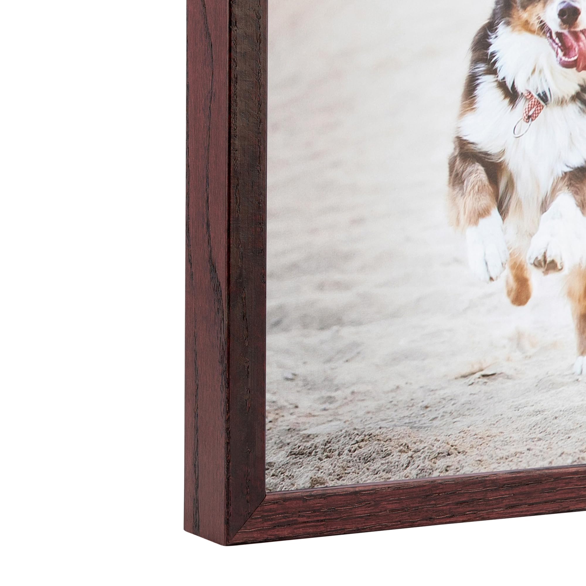 ❣️プリザービングピクチャーフレーム❣️ Amazon.co.jp: ピクチャーフレームホワイトステイン仕上げレッド