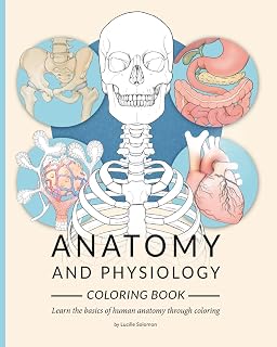 Anatomy and Physiology Coloring Book: A Relaxing Study Guide to Learn Human Anatomy Through Coloring for Students, Nurses & Beginners