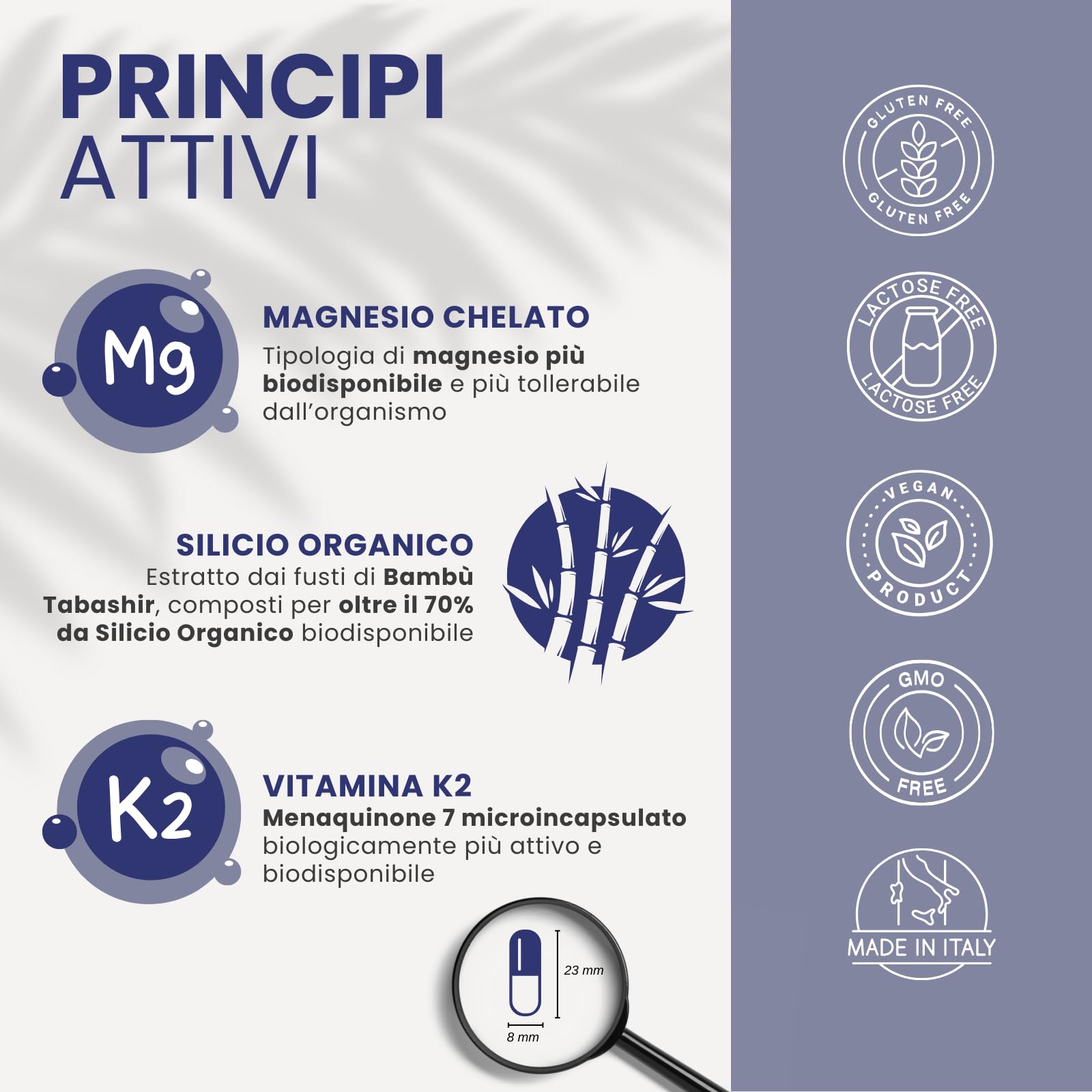 Bonefort Integratore Alimentare per il Benessere delle Ossa | Con Magnesio, Silicio e Vitamina K2 | Pilloliera da 120 capsule