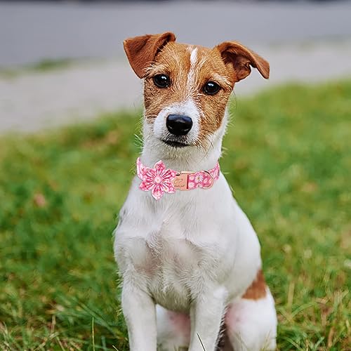 Miniatura 3 de Daisy - Collar de perro con corbatín de flores, suave y cómodo, collar de perro de algodón ajustable duradero para perros pequeños, medianos y