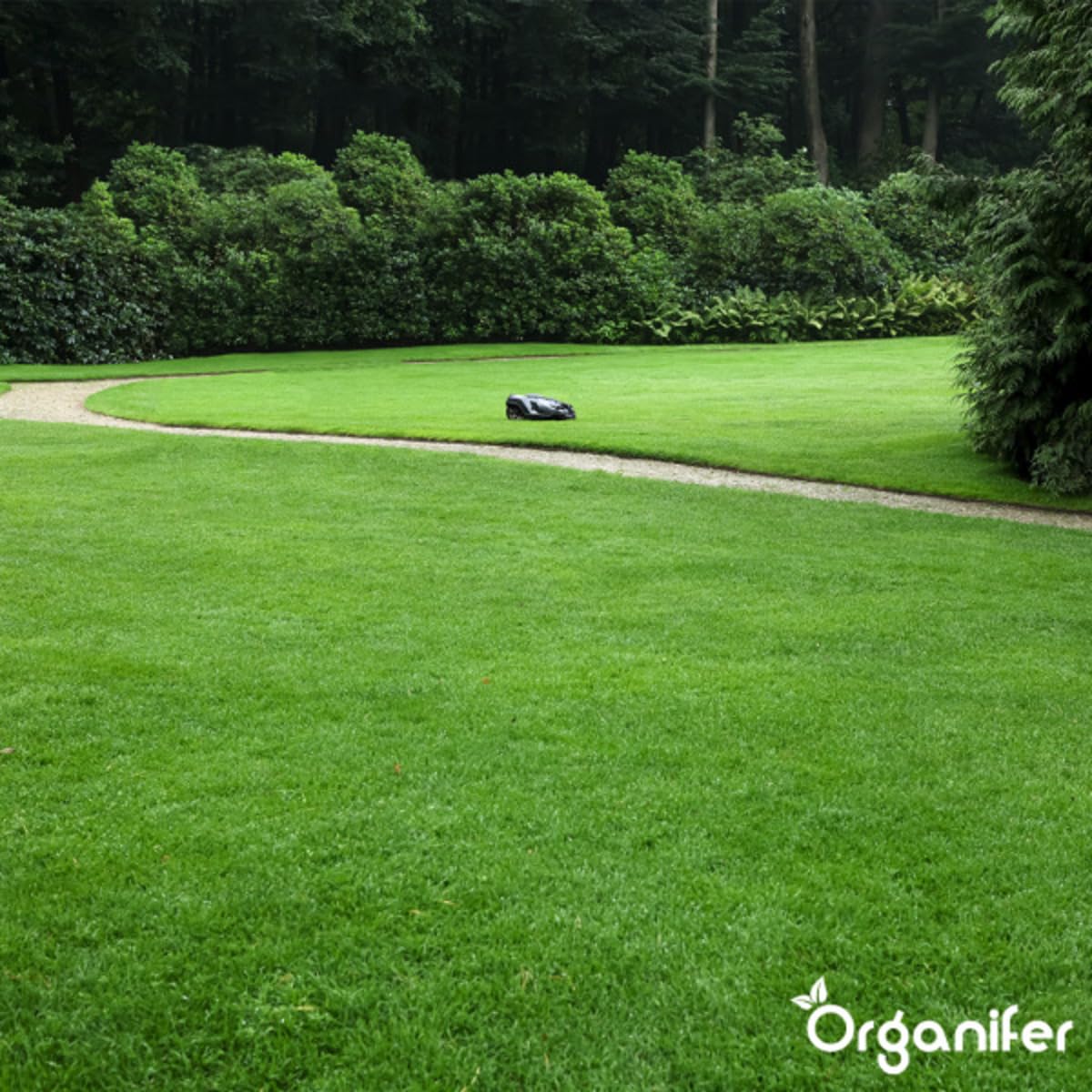Engrais Pro Turf & Lawn (20 Kg - 665 M2) - Spécialement Pour Grandes Pelouses - Terrains De Sport Et Terrains De Golf - Libération Progressive - Npk+Mg+S (20+5+8 +4 +9) - Organifer