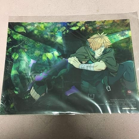 Amazon Fgo Fate ロビンフッド ガウェイン 両面 クリアファイル Fateextar Fategrand Order オトメディア付録 アニメ 萌えグッズ 通販