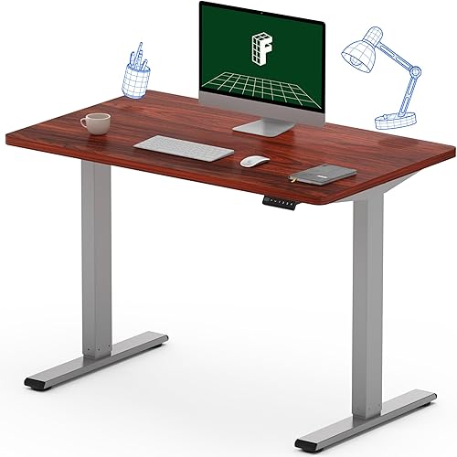 Flexispot EN1 - Escritorio eléctrico para trabajar sentado o de pie, altura ajustable, escritorio chico con controlador de memoria, 42 x 24