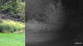 Review Image by VT Gills VT Gills