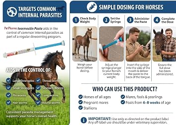 Ivermectin Horse Paste 1.87%, Apple Flavor 6.08g Gel Dewormer Syringe for Equine Use Only, Treats up to 1,250 lbs (1 - Pack)
