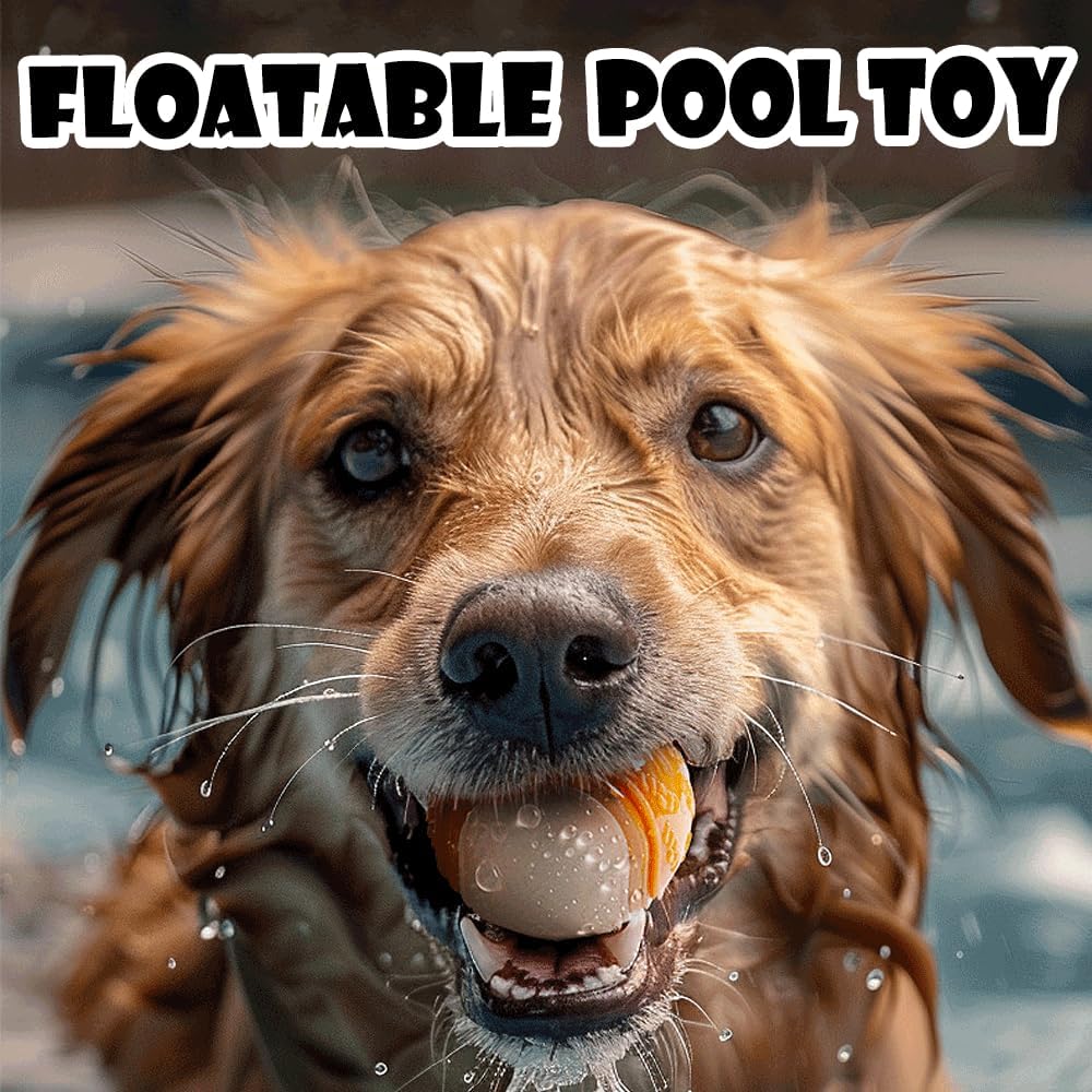 71kYVZyOQkL. AC SL1000