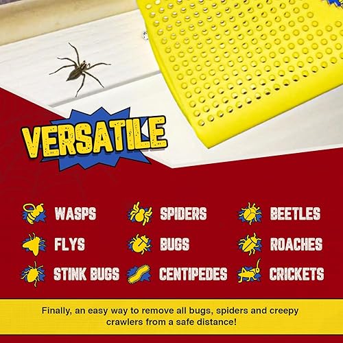 Miniatura 10 de Matamoscas resistente y atrapa arañas y liberación. Atrapasamoscas de insectos para el interior del hogar. Matamoscas de casa o atrapador de
