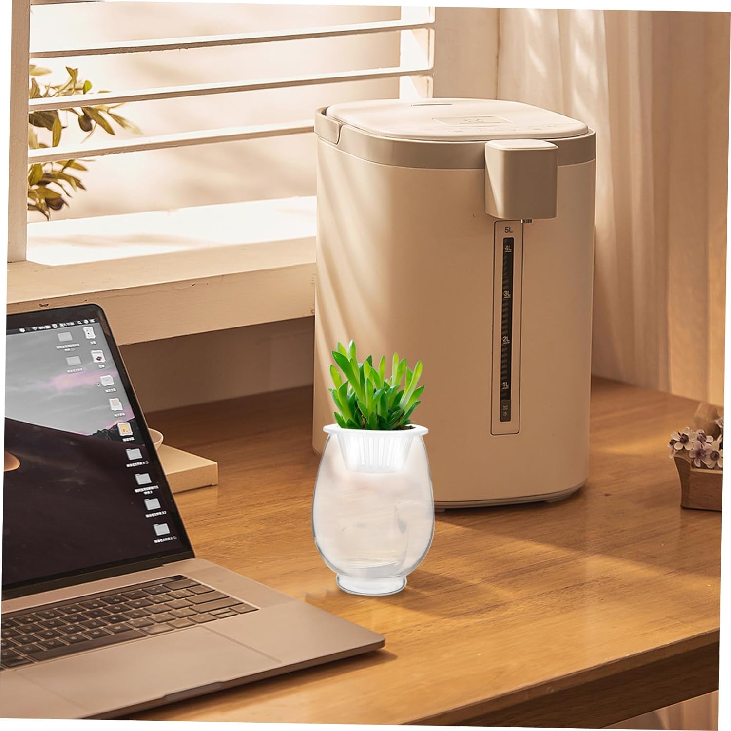 Simple Round Flowerpot Terrarium Plants Vase Decoration Desktop Holder Aquatic for Pond Plants Plant Planter Plant Hydroponic Container Glass Transparent