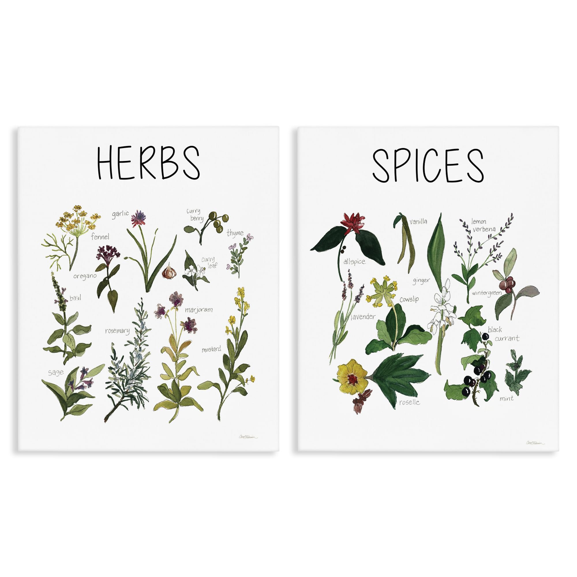 Stupell Industries 'Culinary Herbs & Spices', 2pc Canvas Art Set 2, 24 x 30 Inches, Easy to Hang and Sturdy, Made in USA, by Carol Robinson
