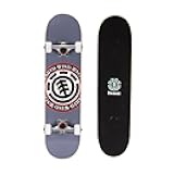 Element Icon Gray Skateboard 31