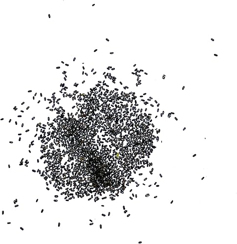 Miniatura 6 de Seed Needs Semillas de hierba de St. Johns para plantar, semillas de hierbas medicinales sin OMG y sin tratar para plantar un jardín cultivado en