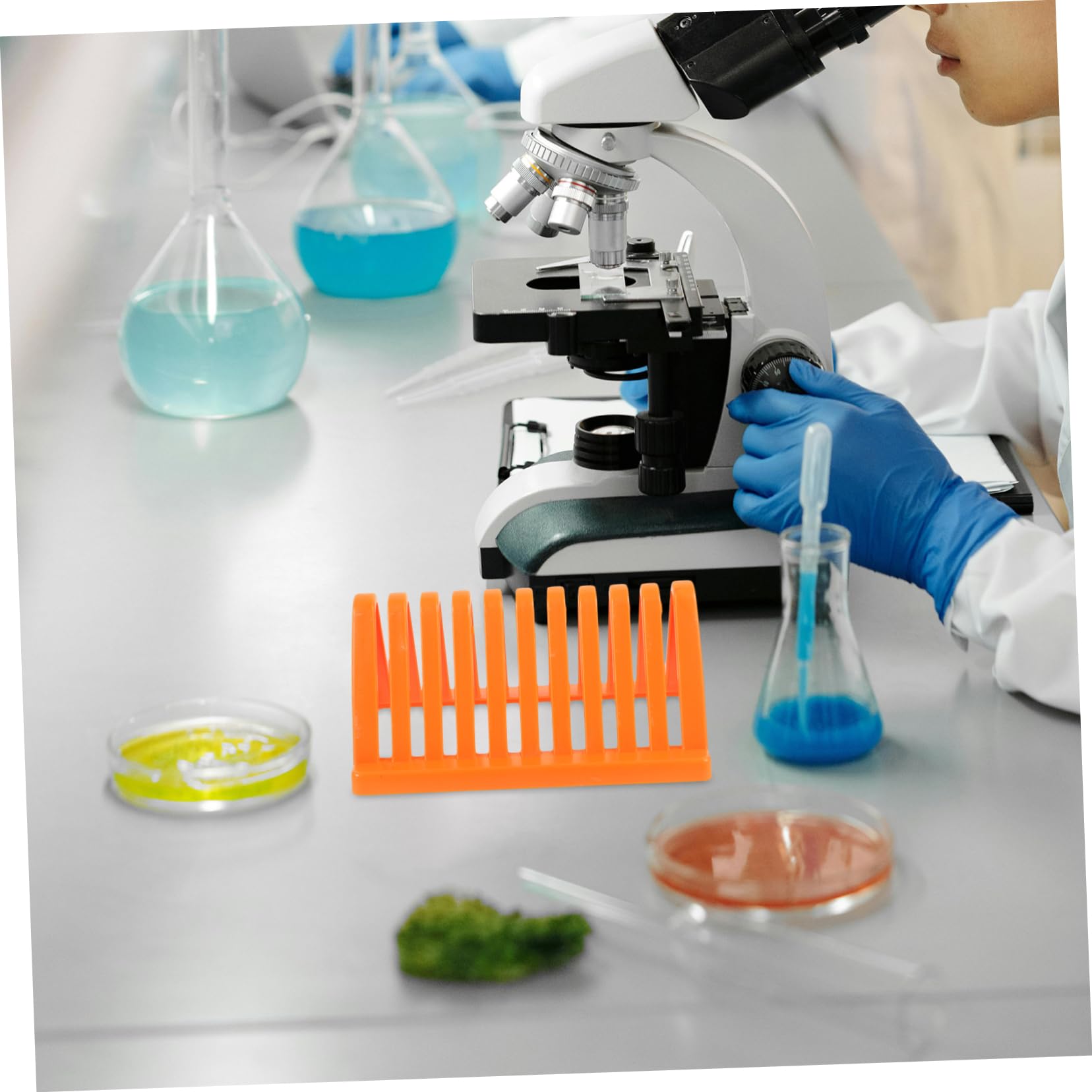 6pezzi Per Vetrini Microscopio Riutilizzabile Rack Per Vetrini Design Esperimenti e