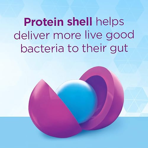 Miniatura 5 de Digestive Advantage Gomitas de fibra prebiótica + probióticos para la salud digestiva, probióticos diarios para niños, apoyo para hinchazón