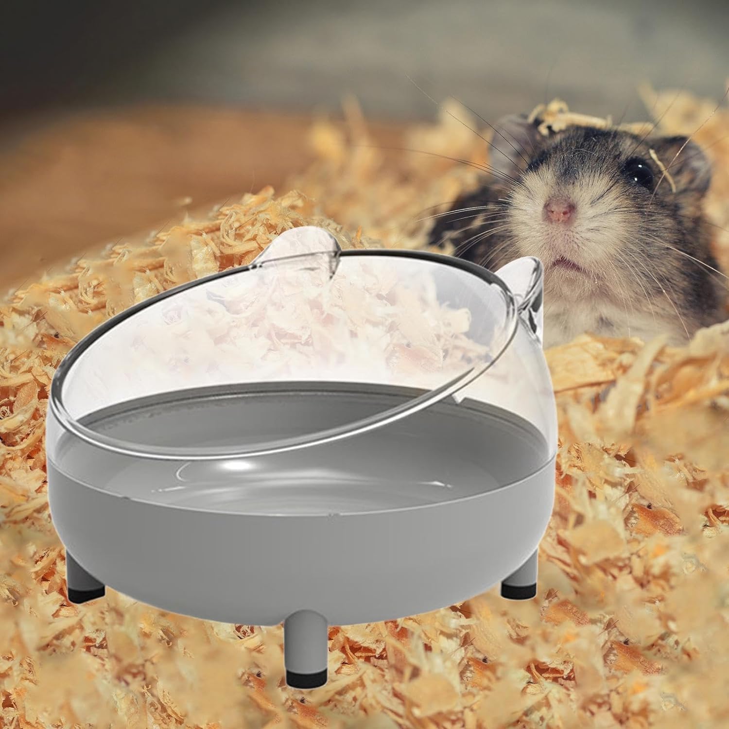 See full amazon price history chart for PIKFOS Hamster Sand Bath Container - Chinchilla Sand Bath Container | Small Animal Clear Sand Bath Box, Transparent Habitat for Hamster Cage Accessories PIKFOS Hamster Sand Bath Container - Chinchilla Sand Bath Container | Small Animal Clear Sand Bath Box, Transparent Habitat for Hamster Cage Accessories (B0D5VCXZST) Amazon Price History, Amazon Price Tracker