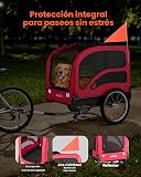 Ver la foto 6