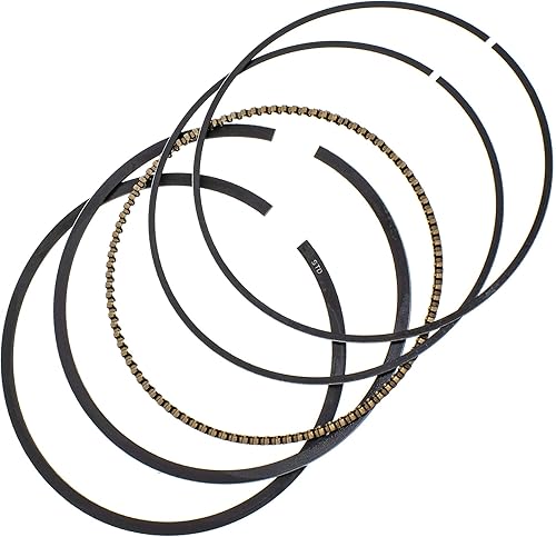 Miniatura 6 de NICHE Pistón stock para Yamaha Grizzly Rhino Raptor 660 3YF-11631-00-X0 2C6-11631-00-X0 (3.937 in)