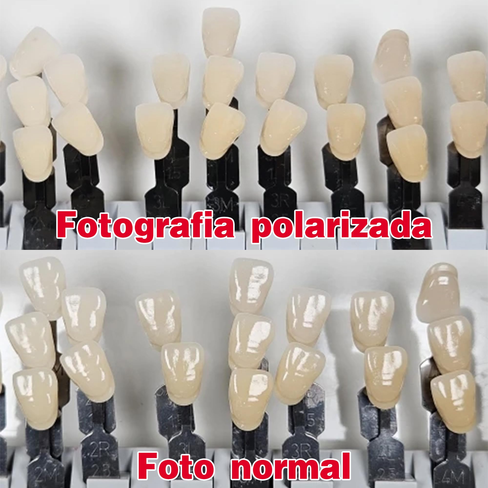 Zestawy polaryzacji krzyżowej do błysków - zestaw polaryzatorów do fotografii dentystycznej do aparatu (YONGNUO YN-14EX) bez odblasków, bez odbić aparatu fotograficznego