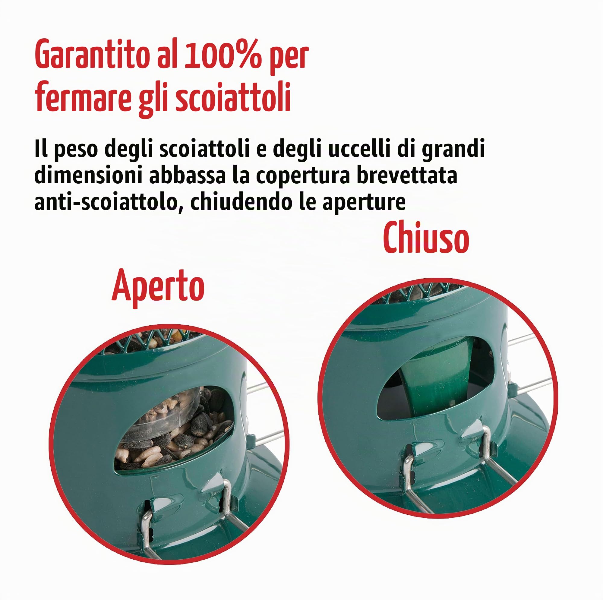 Jacobi Jayne, mangiatoia per uccelli con sistema anti scoiattoli