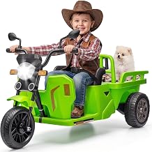 12V Kids Electric 3-Wheel Ride-on Motorcycle Trike,for Boys Girls Ages 3-8