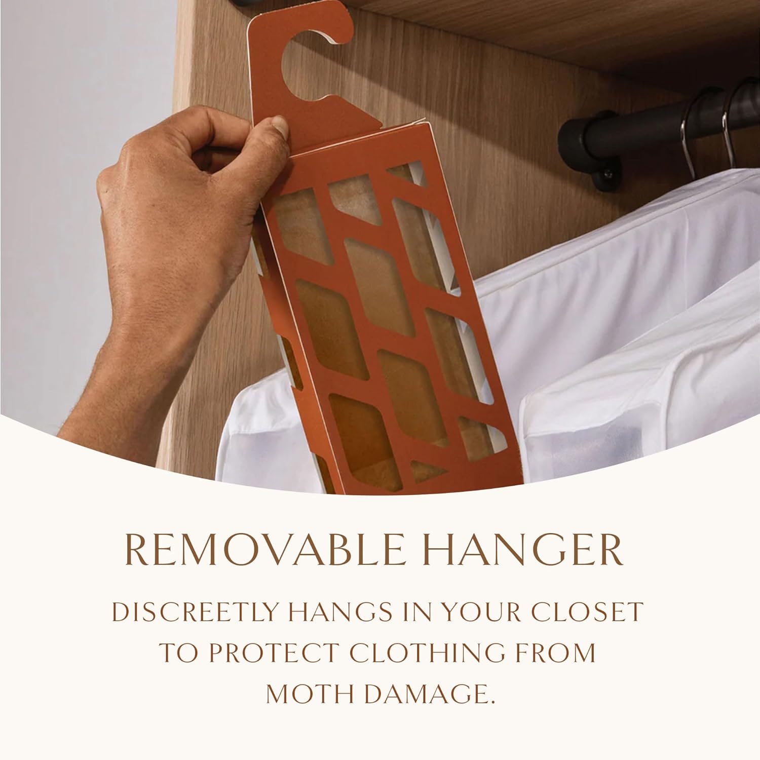 Clothes Moth Traps + Replacement Strips (9 Strips in Total) - Traps and Refills for Hayden Hill Moth Traps - for Closets and Clothing