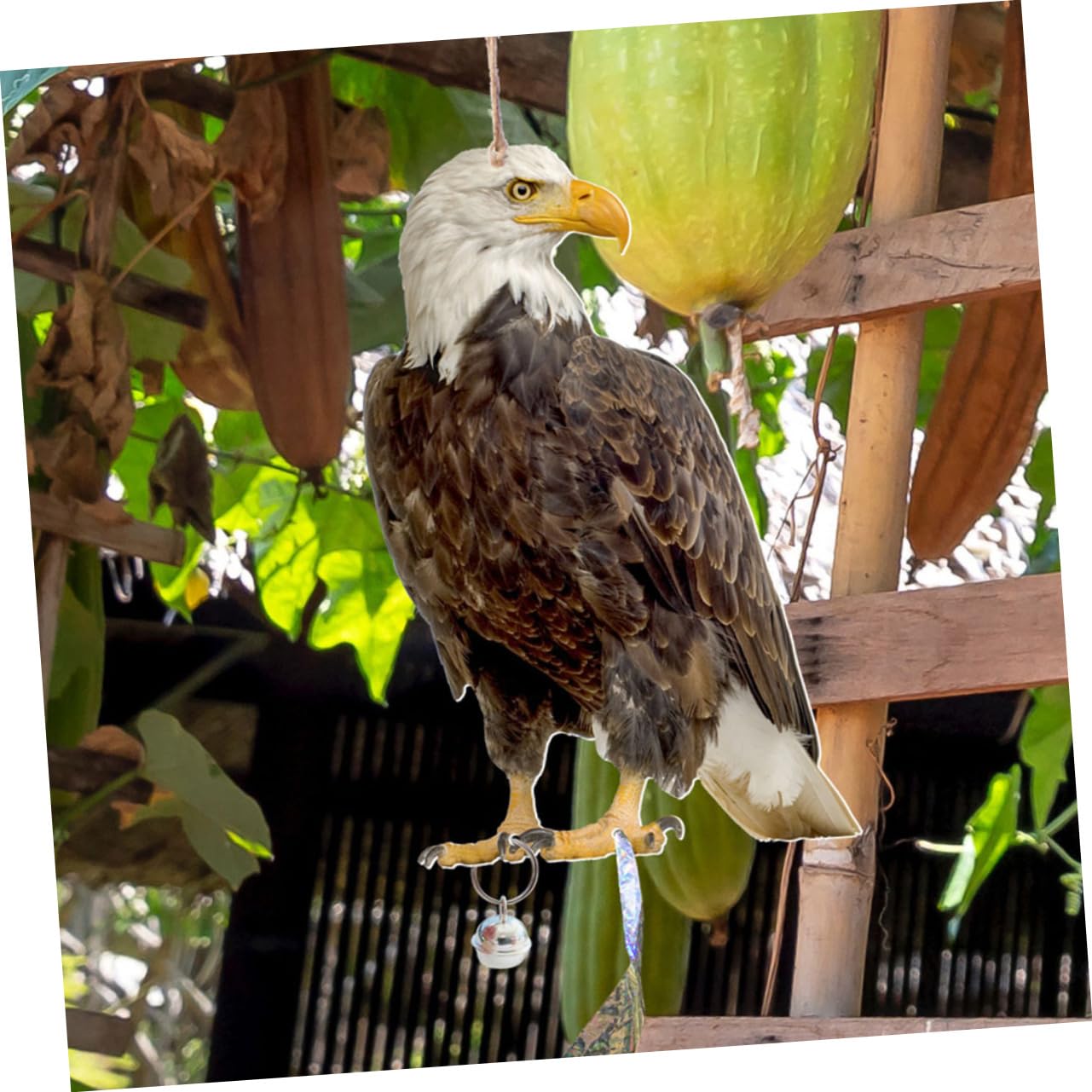 MOTHNUR Réfléchissant Effaroucheur Oiseaux Pour Verger Effet